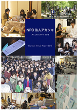 report_annualreport2012